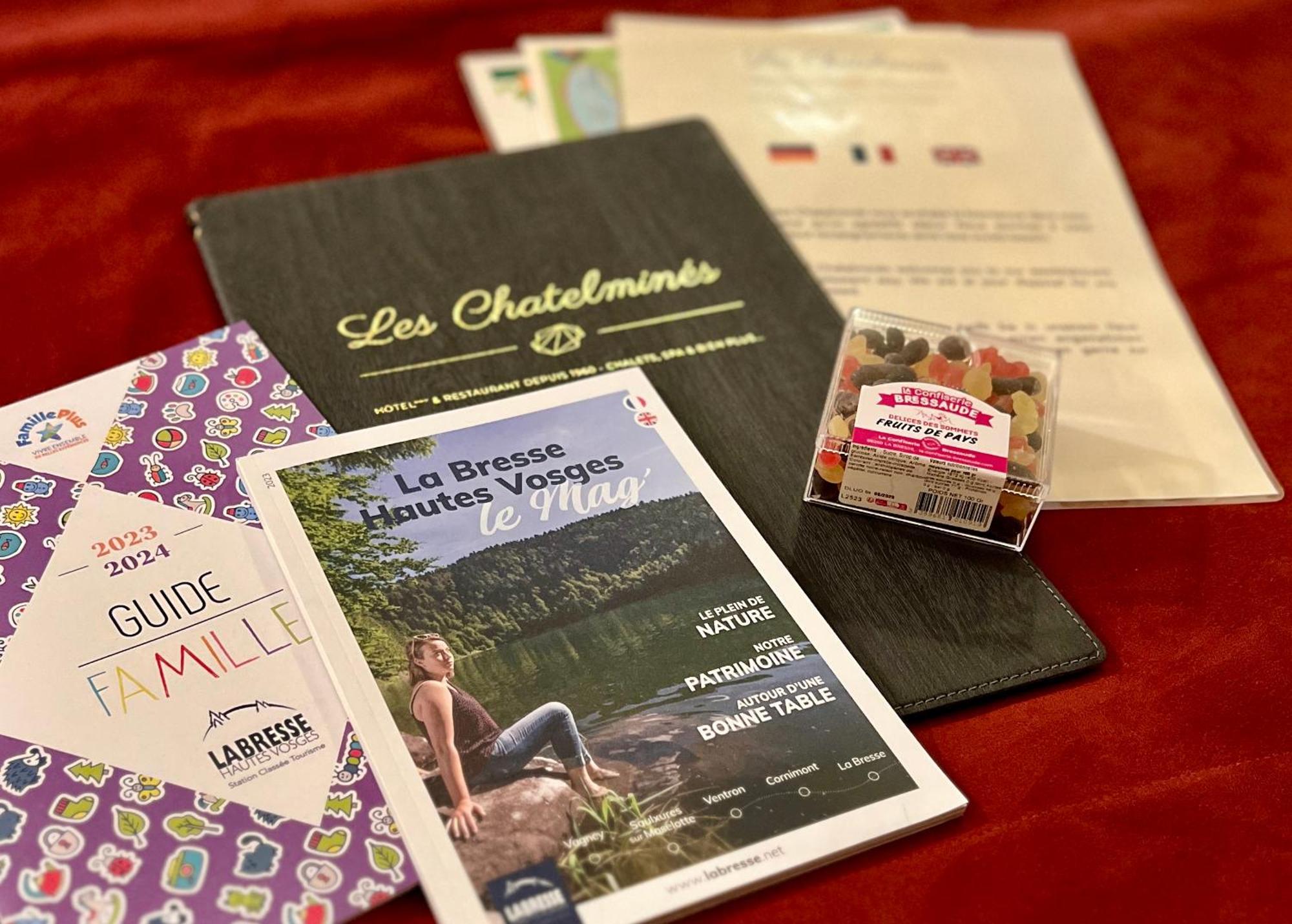 Logis Hotel, Chalets Et Restaurant Les Chatelmines La Bresse Luaran gambar