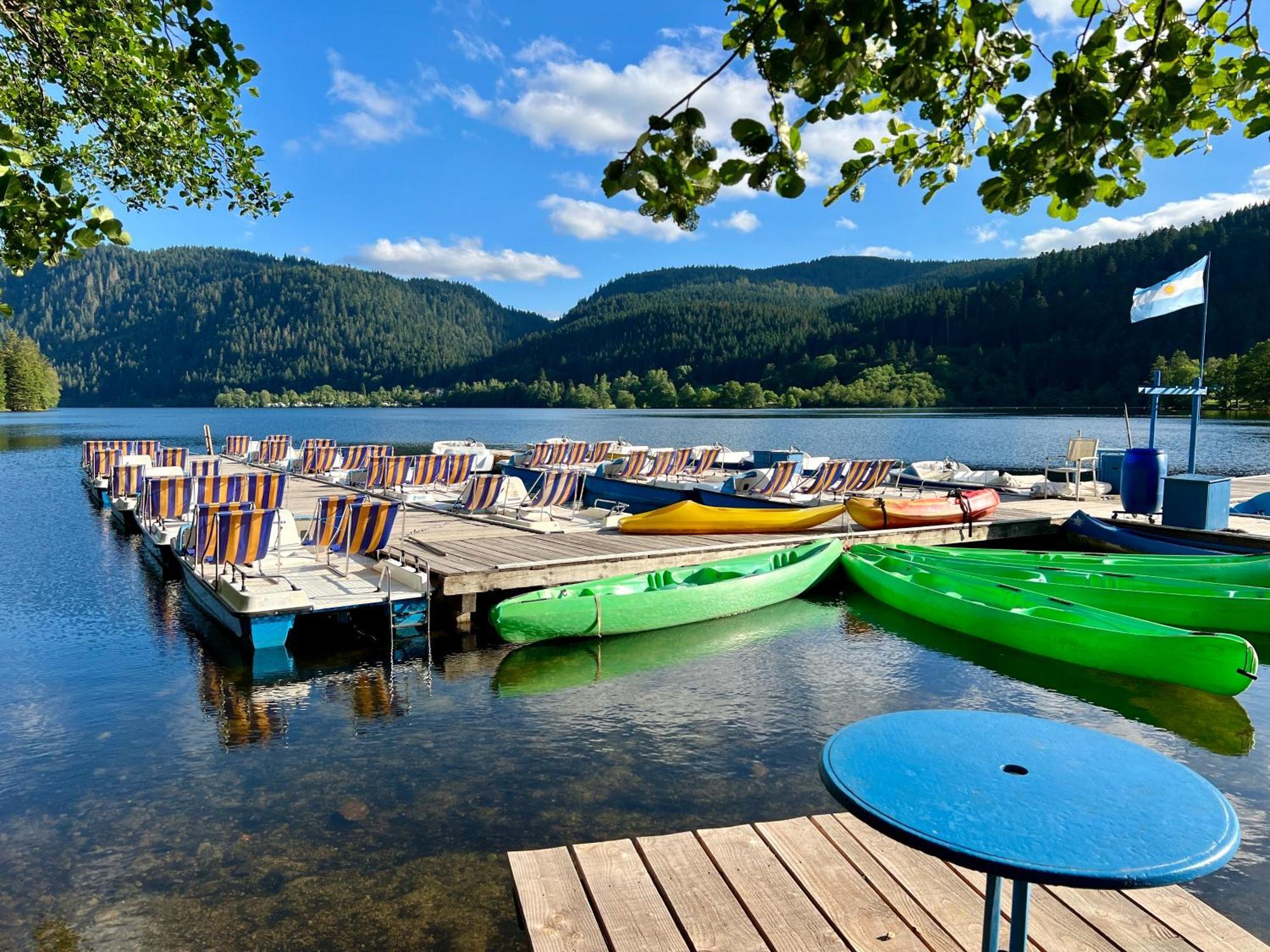 Logis Hotel, Chalets Et Restaurant Les Chatelmines La Bresse Luaran gambar