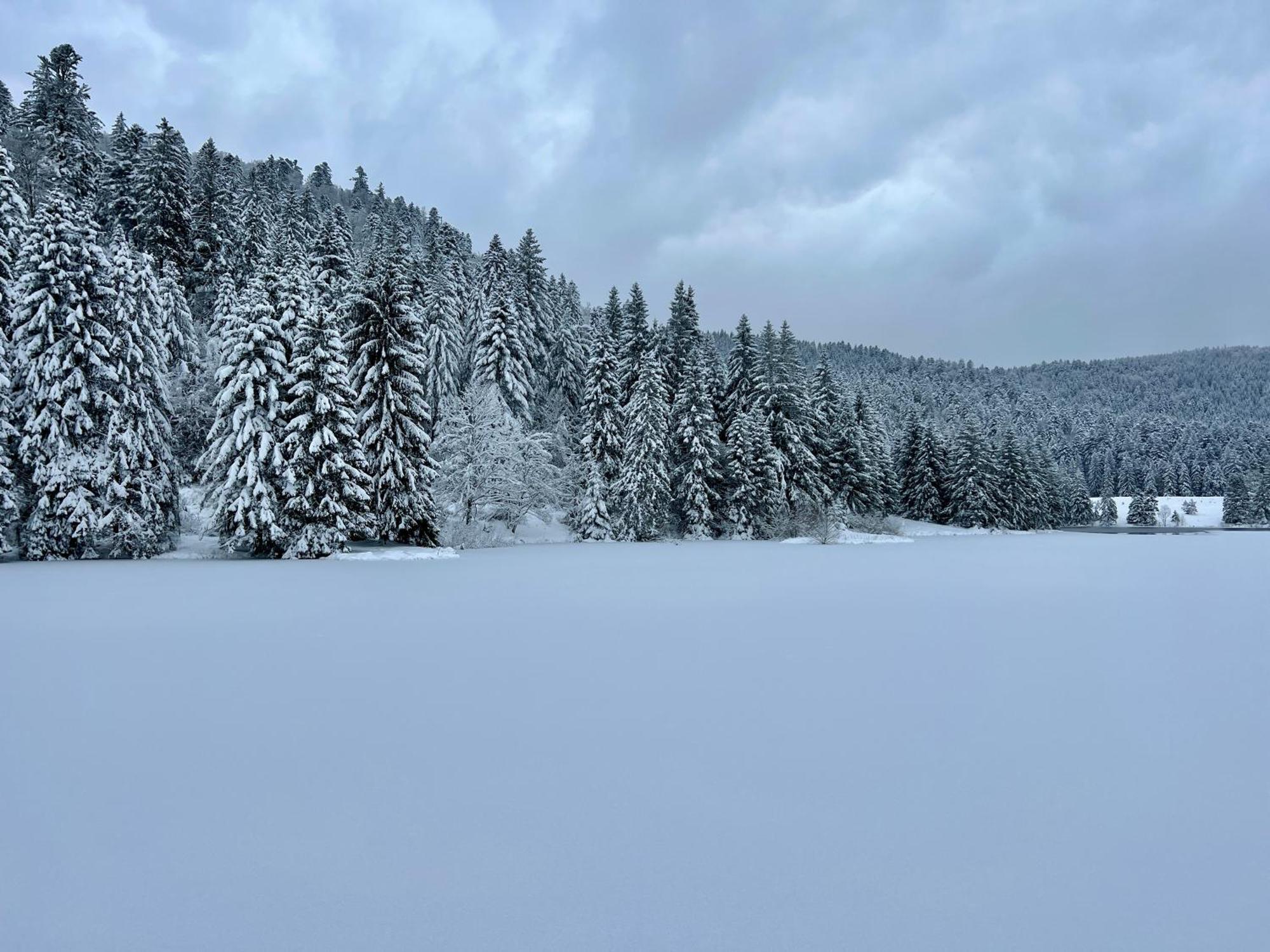 Logis Hotel, Chalets Et Restaurant Les Chatelmines La Bresse Luaran gambar