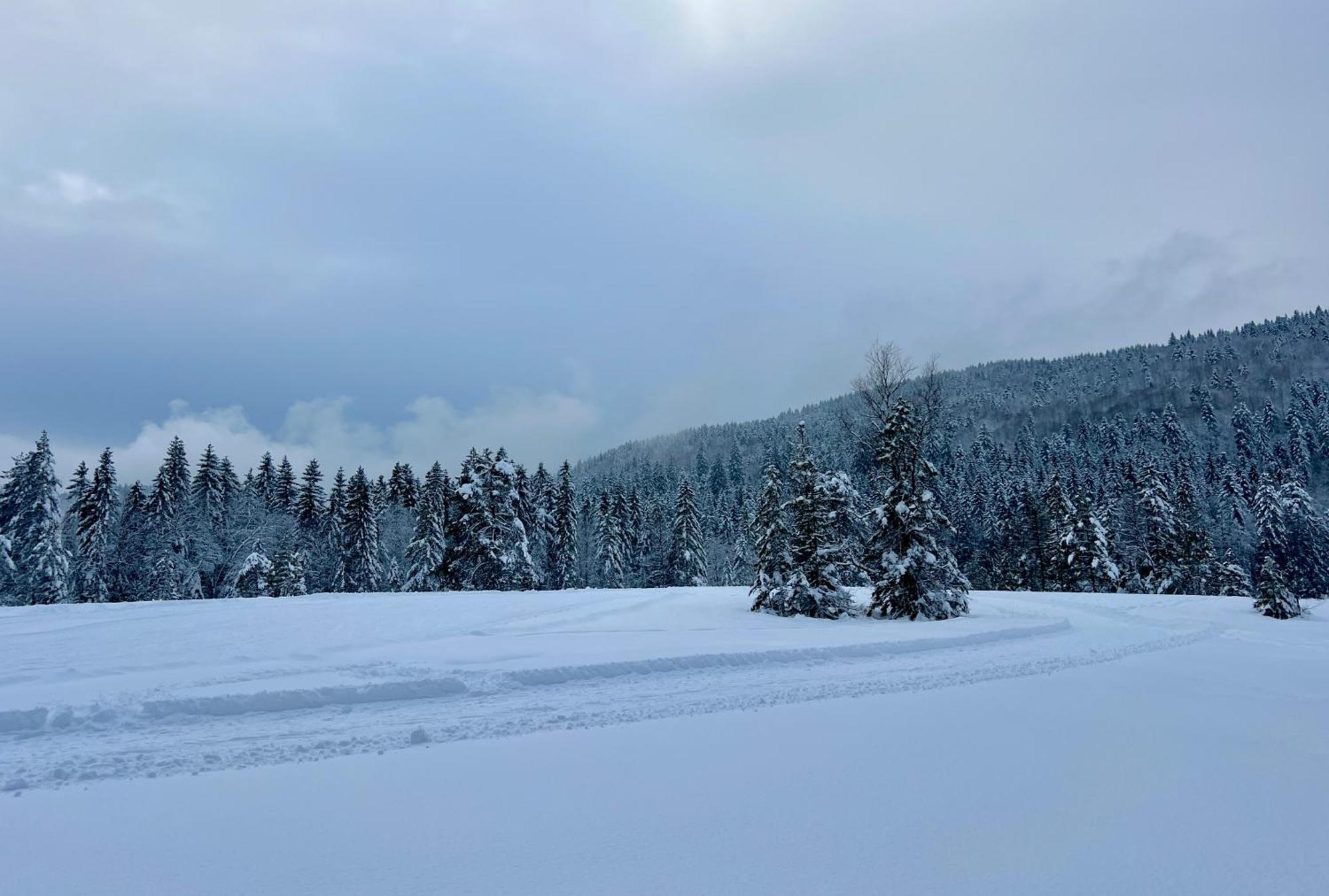 Logis Hotel, Chalets Et Restaurant Les Chatelmines La Bresse Luaran gambar